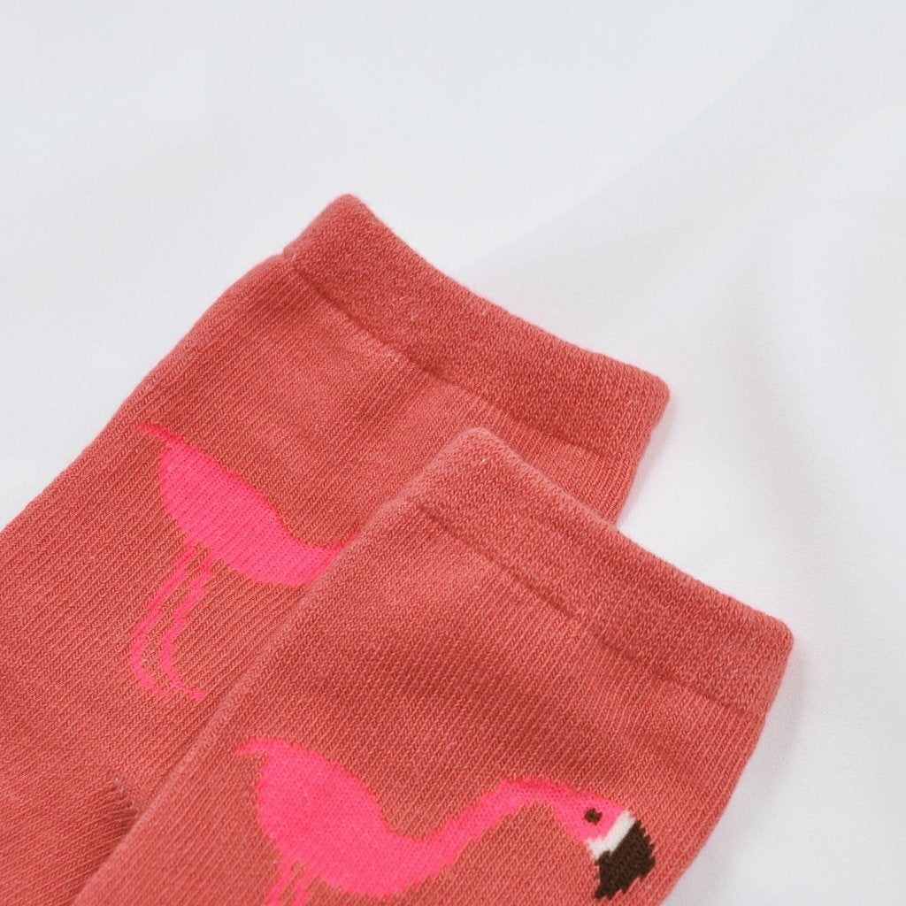 cute cotton socks for women