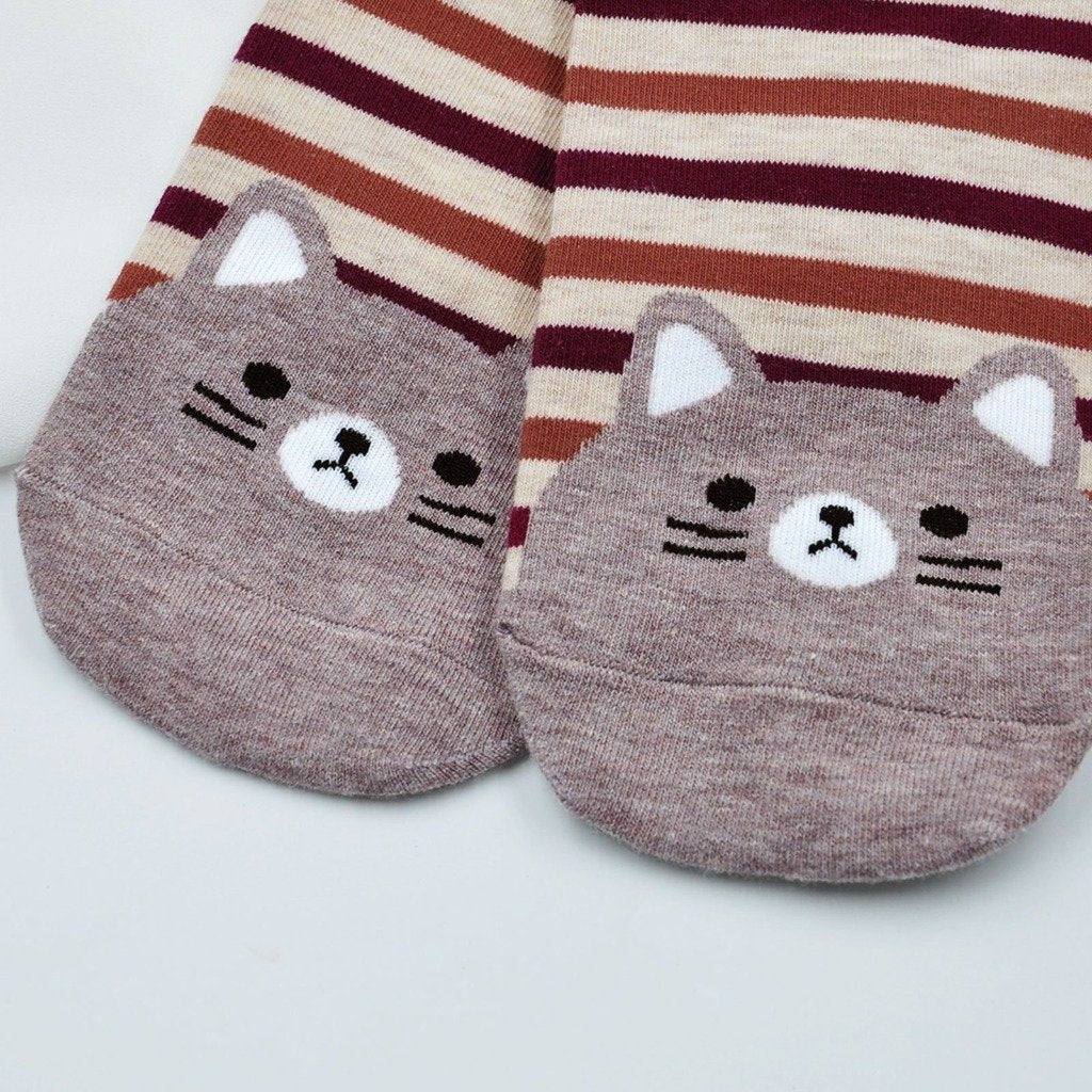 cat stripes socks for women